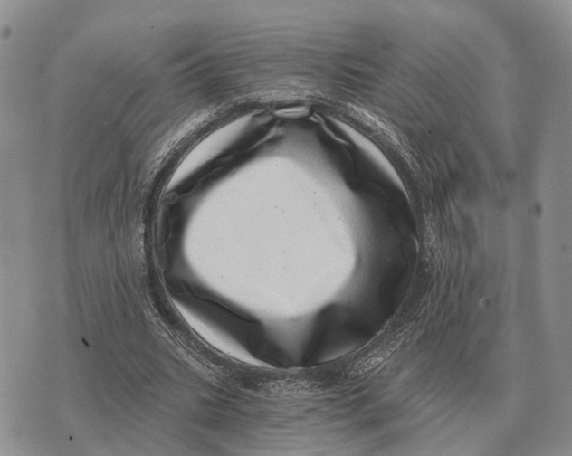 X0000072980535200608111744