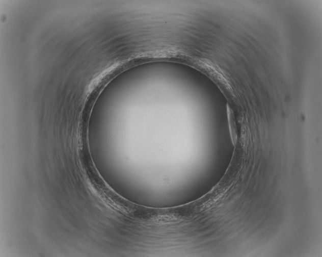 X0000072980536200608111744