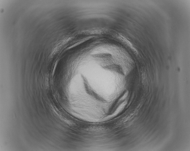 X0000072980537200608111744