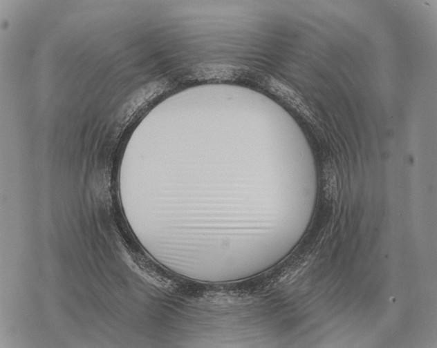 X0000072980538200608111744