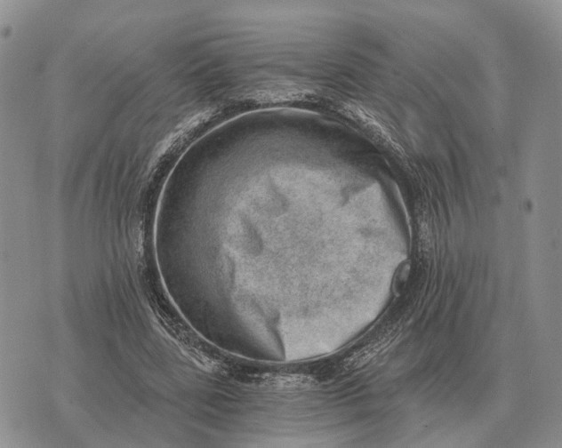 X0000072980539200608111744