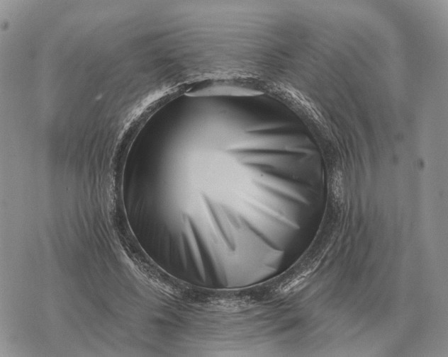 X0000072980540200608111744