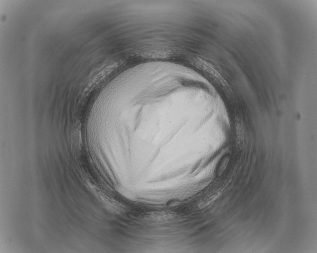 X0000072980541200608111744