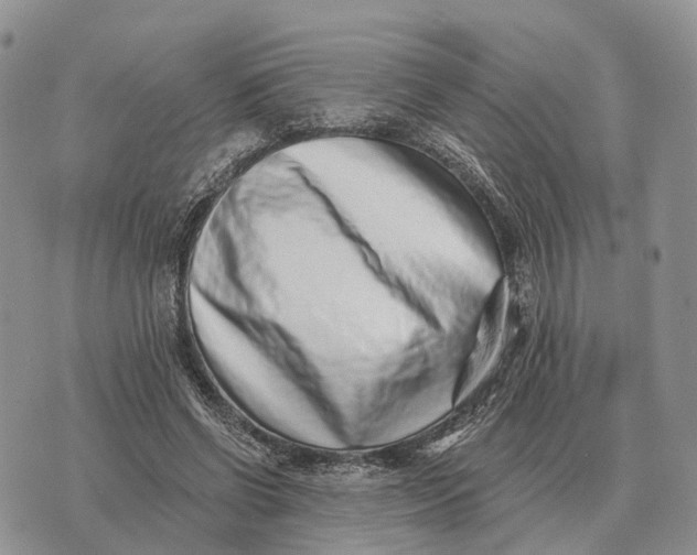 X0000072980542200608111744