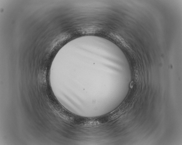 X0000072980543200608111744