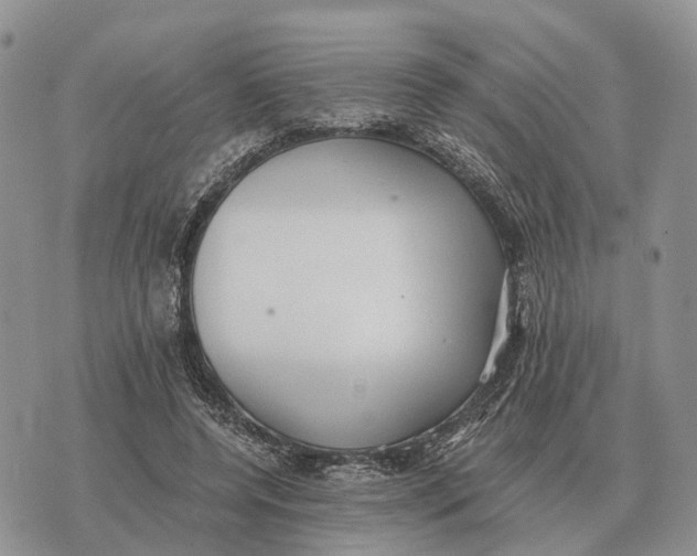 X0000072980544200608111744