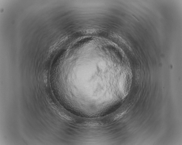 X0000072980545200608111744