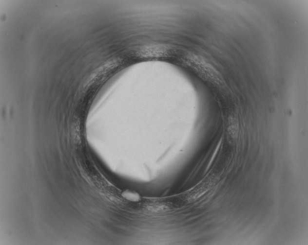 X0000072980547200608111744