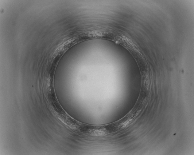 X0000072980548200608111744