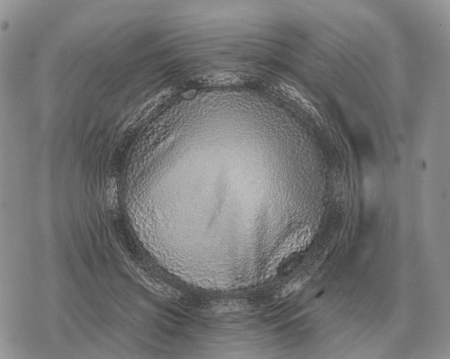 X0000072980549200608111744