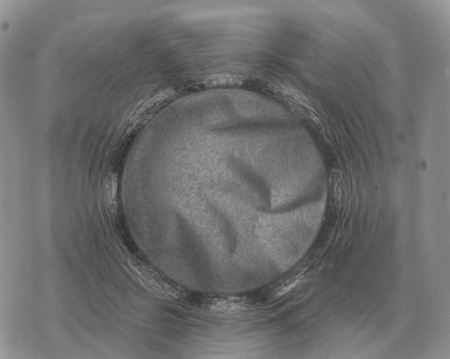 X0000072980550200608111744