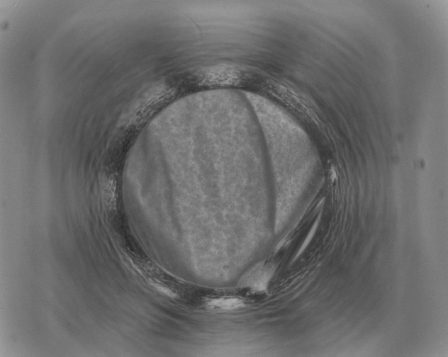 X0000072980551200608111744