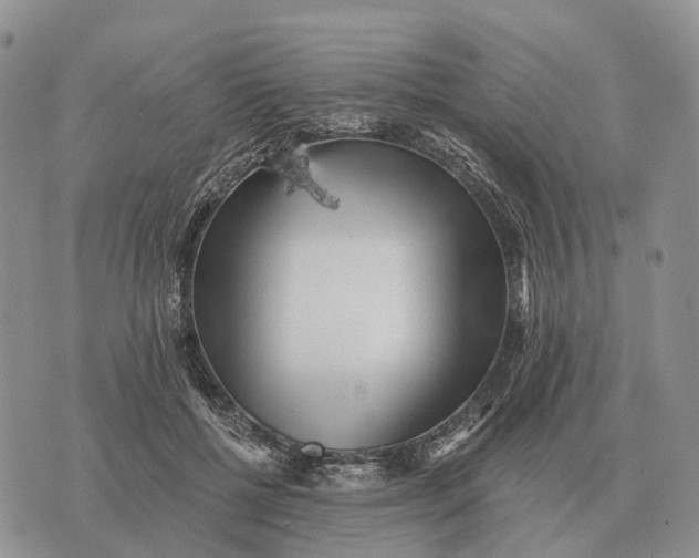 X0000072980552200608111744