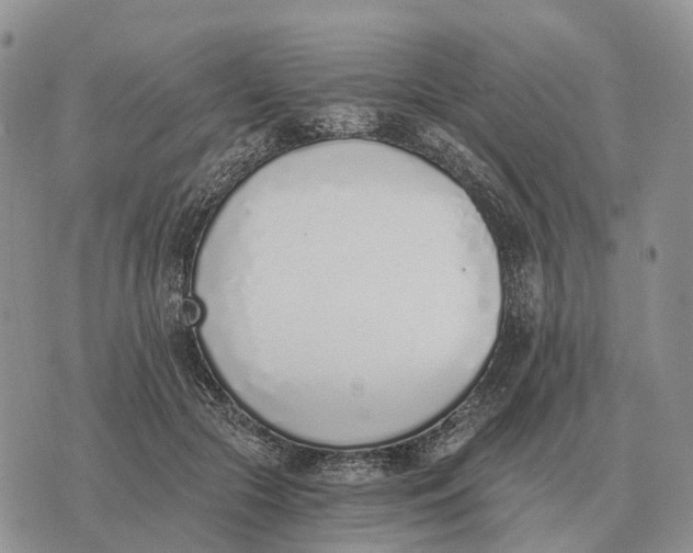 X0000072980553200608111744