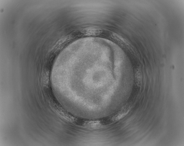 X0000072980554200608111744