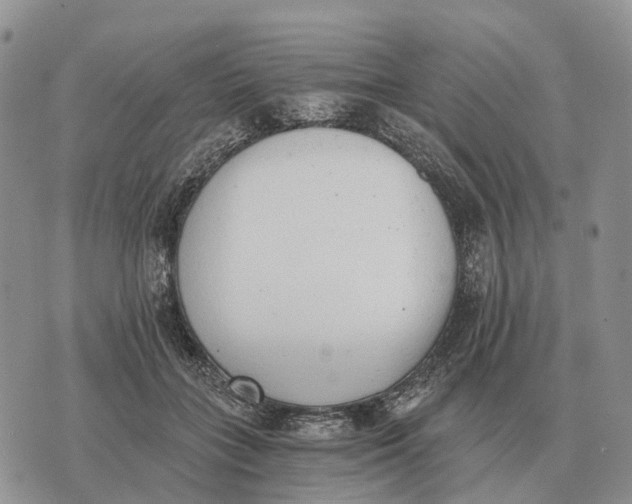 X0000072980555200608111744