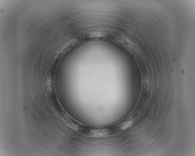 X0000072980556200608111744