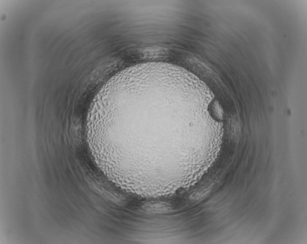 X0000072980557200608111744