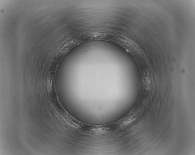 X0000072980558200608111744