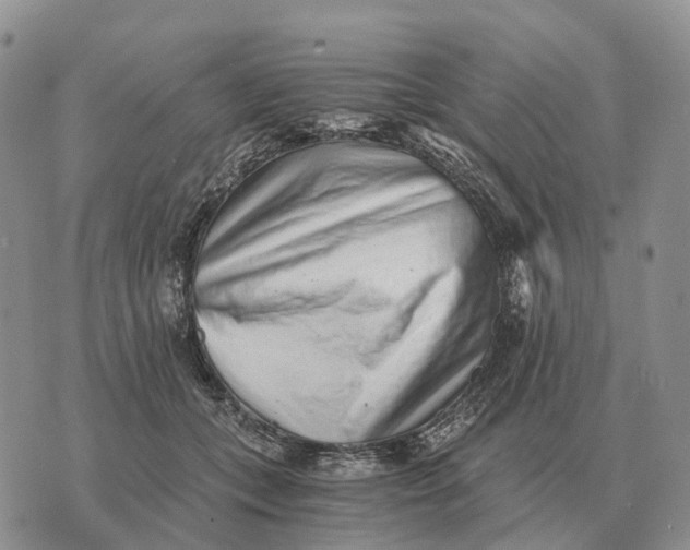 X0000072980559200608111744