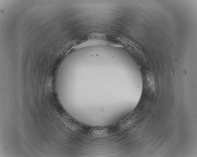 X0000072980560200608111744