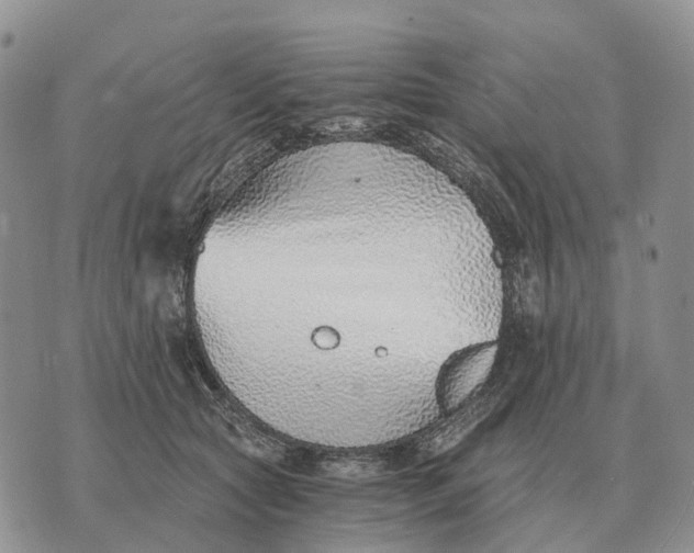 X0000072980561200608111744