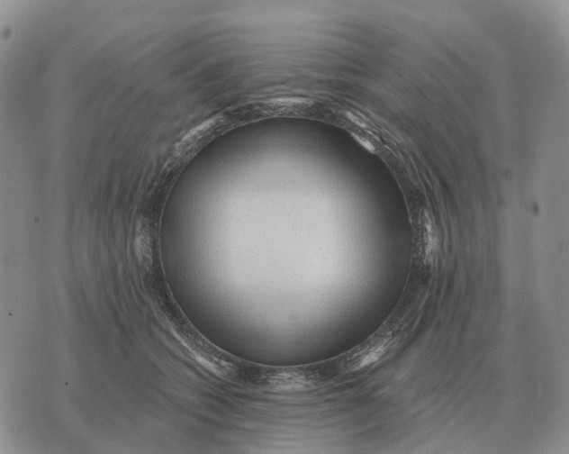 X0000072980562200608111744