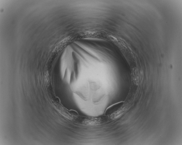 X0000072980563200608111744