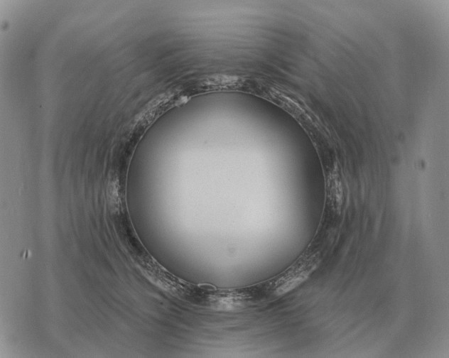 X0000072980564200608111744