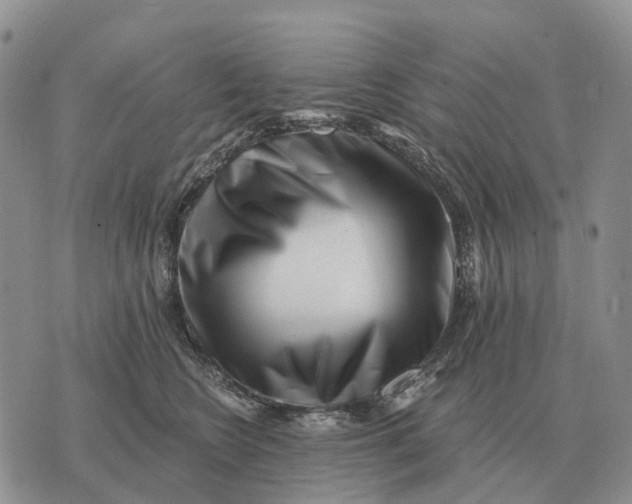 X0000072980566200608111744