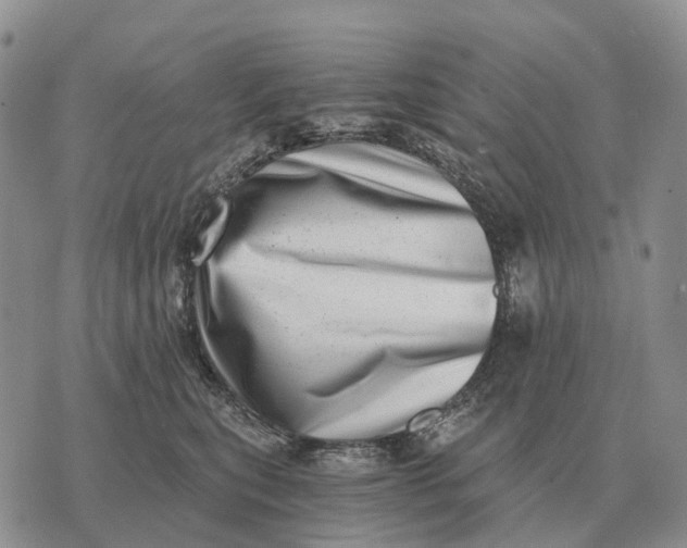 X0000072980567200608111744