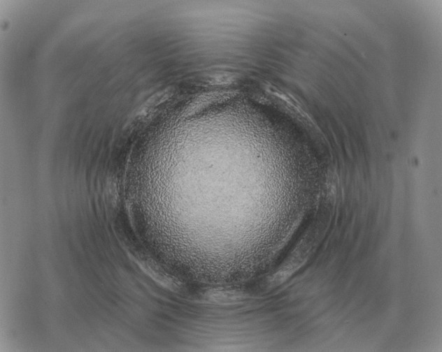 X0000072980568200608111744