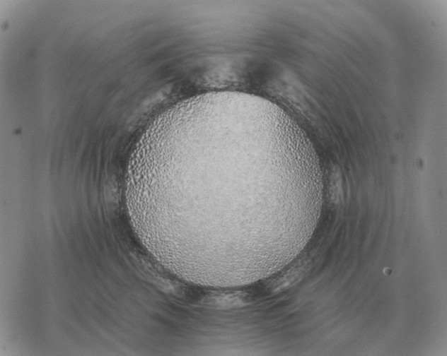 X0000072980569200608111744