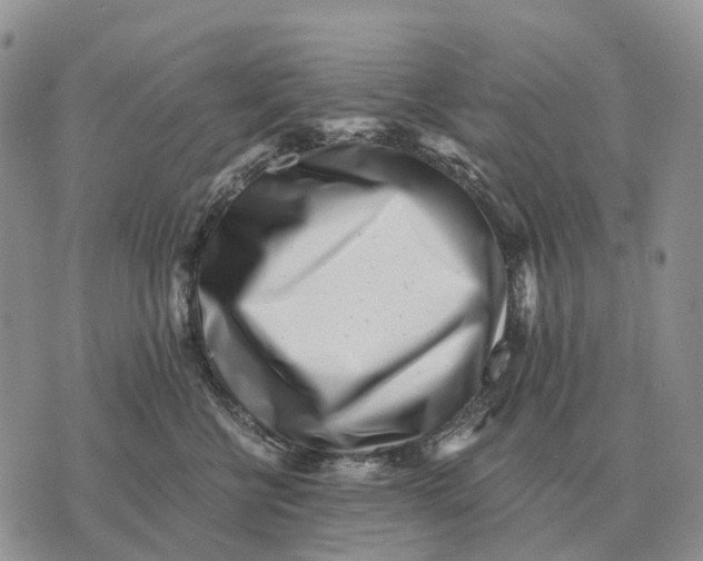 X0000072980570200608111744