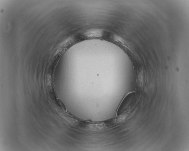 X0000072980571200608111744