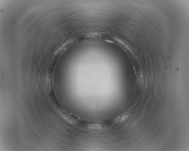 X0000072980572200608111744