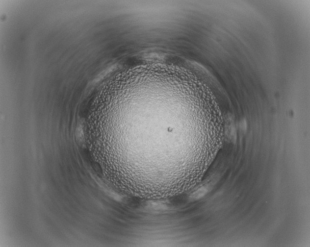 X0000072980573200608111744