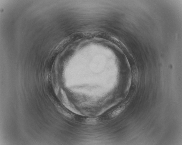 X0000072980574200608111744