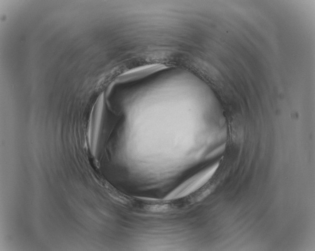 X0000072980575200608111744