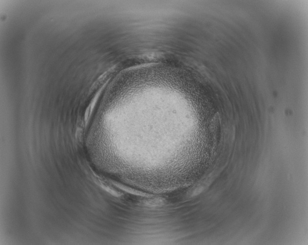 X0000072980576200608111744