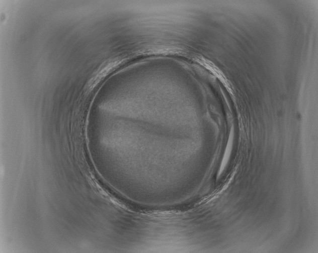 X0000072980577200608111743