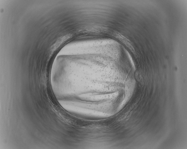 X0000072980578200608111743