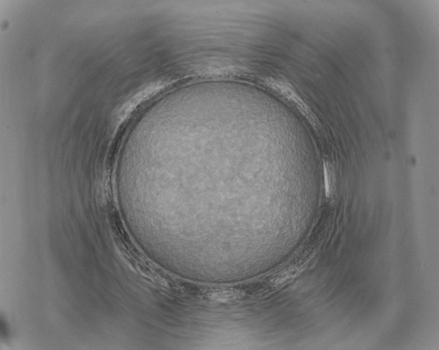 X0000072980579200608111743