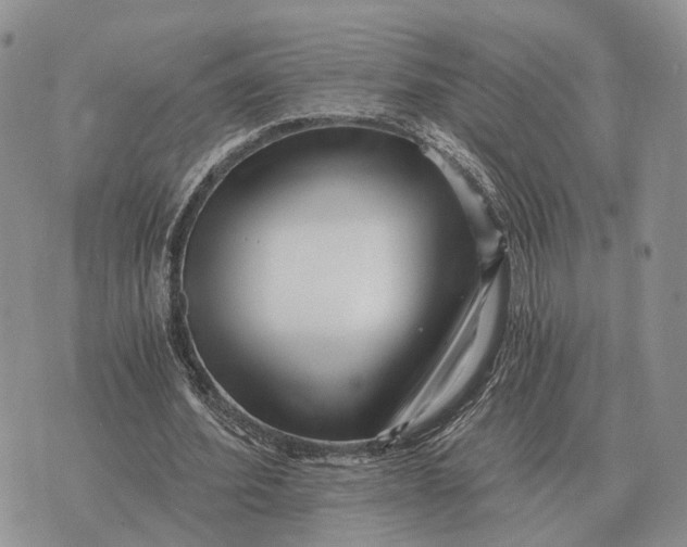 X0000072980580200608111743