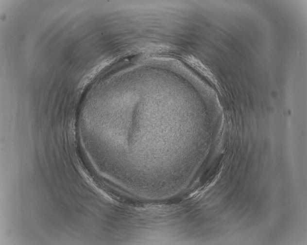 X0000072980581200608111743