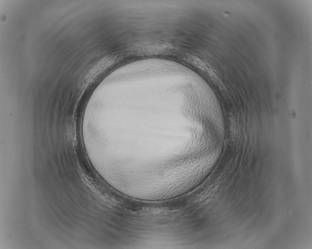 X0000072980582200608111743