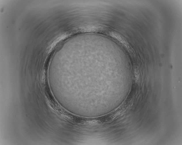 X0000072980583200608111743