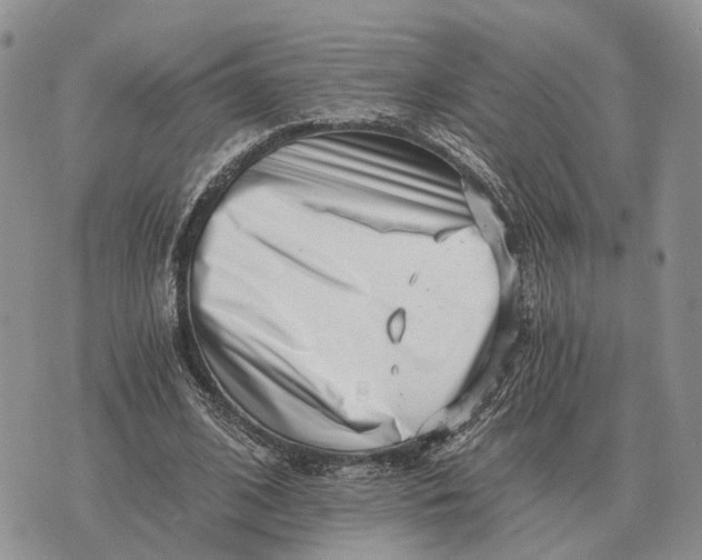 X0000072980584200608111743