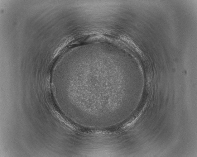 X0000072980585200608111743