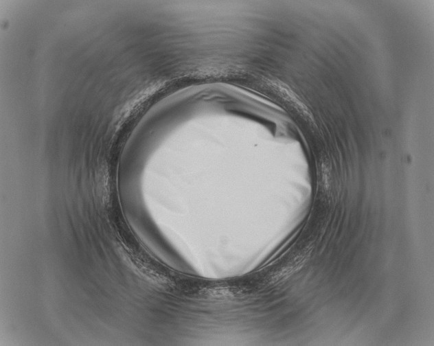 X0000072980588200608111743